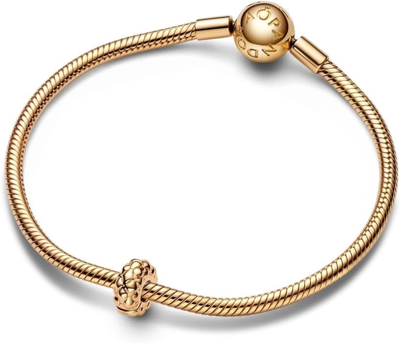 image:imagePANDORA Studded Clip Charm Gift for Her Compatible Moments Shine With Gift Box
